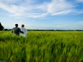 PHOTOS MARIAGE COMPLET (269 sur 480)