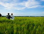 Photographe mariage en provence toulon